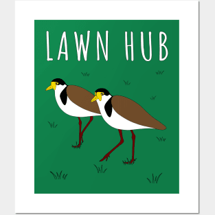 Lawn Hub Masked Lapwing Plover Posters and Art